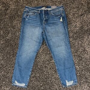 NWT TORRID HR Straight CD Artisan Hem Jeans